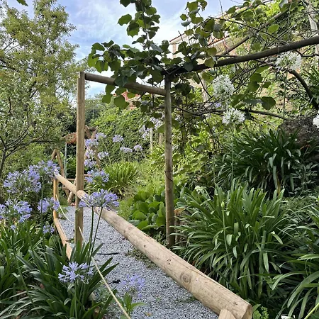 Varandas Do Tamega 蒙丁-迪巴什图