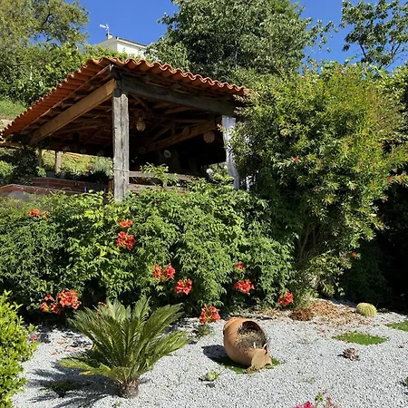 Varandas Do Tamega Ferienhaus Mondim de Basto