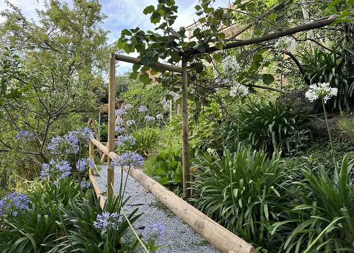 Varandas Do Tamega Mondim de Basto